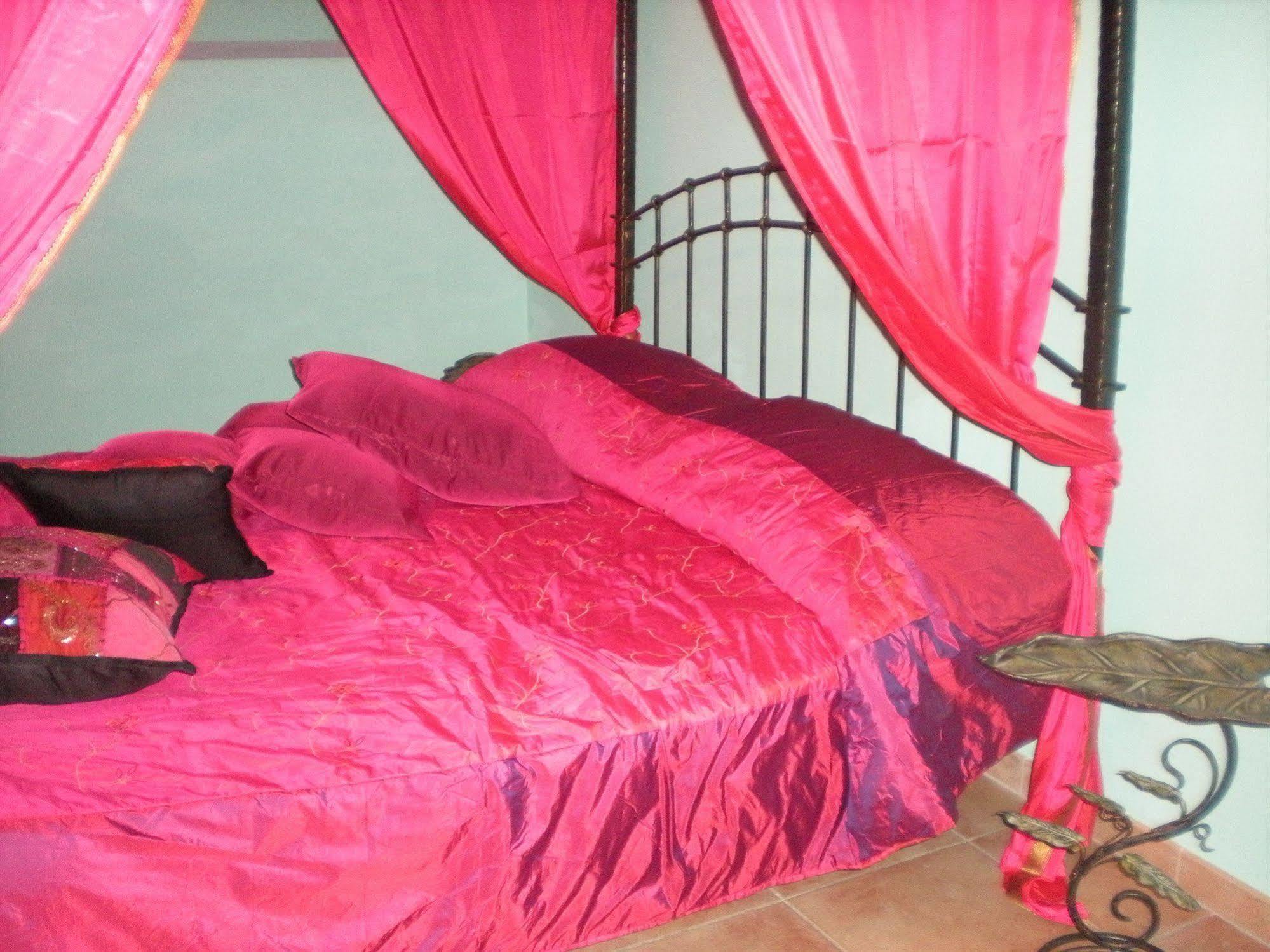 Couette-café Shiva 2*